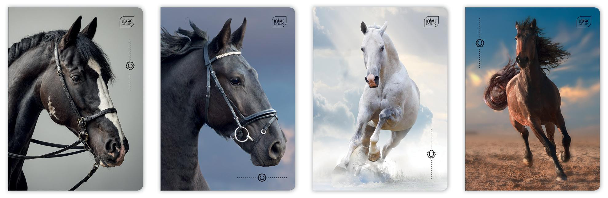 Zeszyt A5/32k kratka 70g UV Wild Horses Interdruk