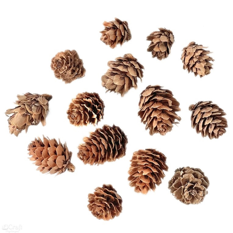 Mini szyszki 25g DPZA-164 Dalprint