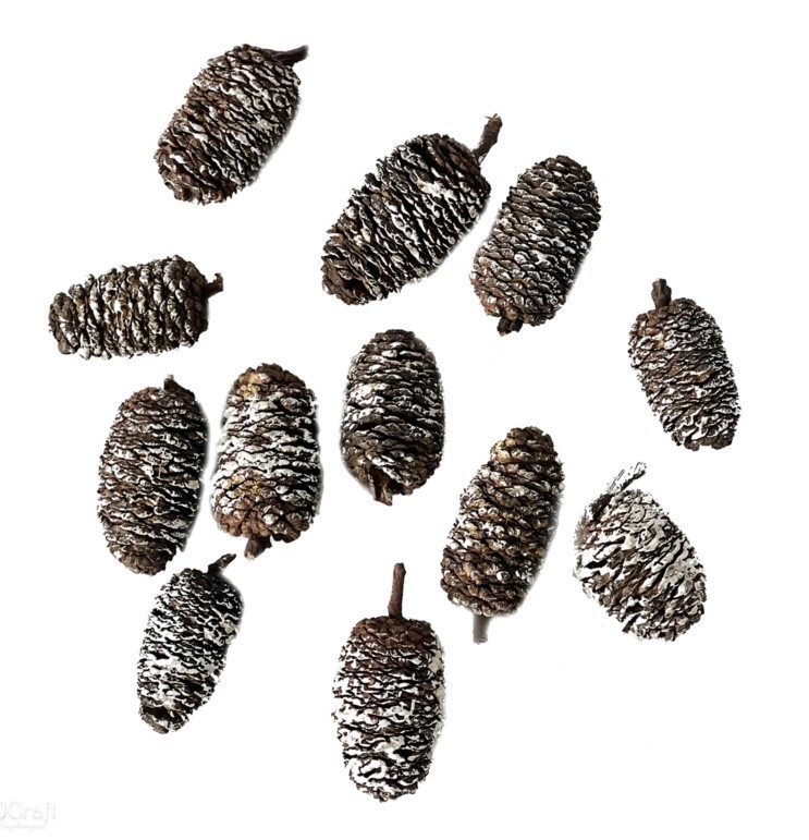 Mini szyszki 12szt bielone DPZA-165 Dalprint