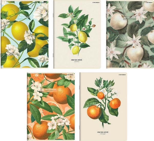 Zeszyt A5/60k kratka Summer 70g 400181620 TOP2000