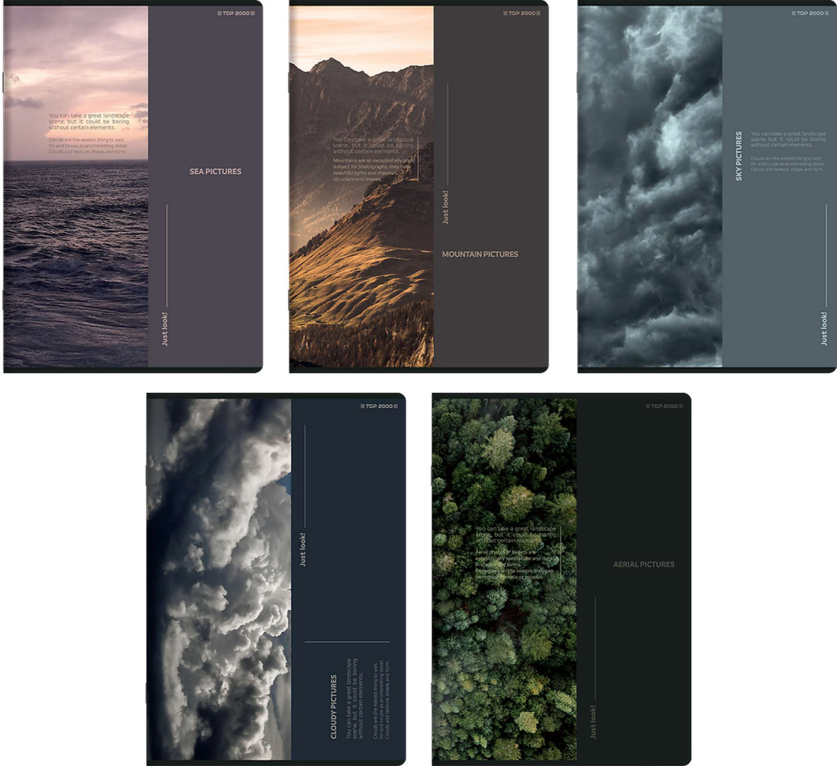 Zeszyt A5/60k kratka Birds Eye 70g TOP2000