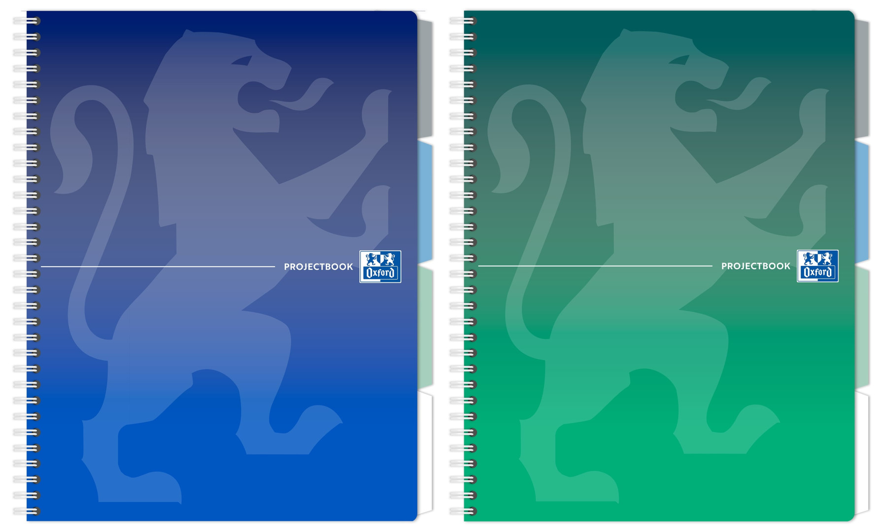 Kołozeszyt Oxford Projectbook A4/80k kr. mix klasyczny