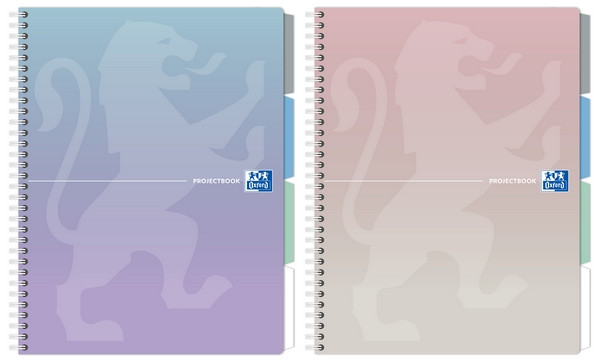 Kołozeszyt Oxford Projectbook A4/80k kr.  mix pastelowy