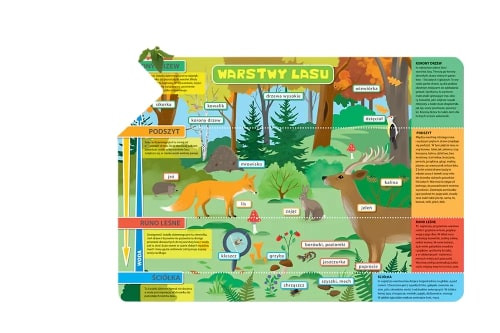 Podkład B3 Warstwy lasu i łąka Henry