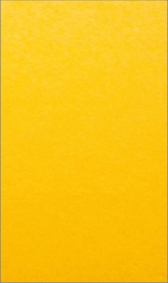 Papier wizytówkowy A4/20 Kreska gładki żółty