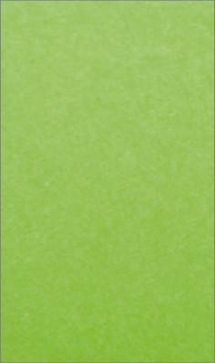 Papier wizytówkowy A4/20 Kreska gładki zielony