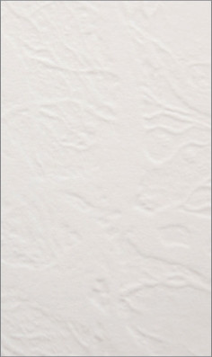 Papier wizytówkowy A4 tapeta 20ark. W04 Kreska