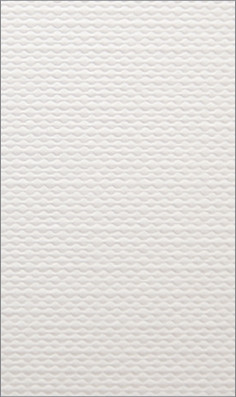 Papier wizytówkowy A4 skóra 20ark. W06 Kreska