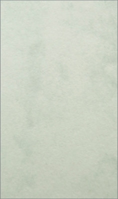 Papier wizytówkowy A4/20 Kreska marmurek zielony