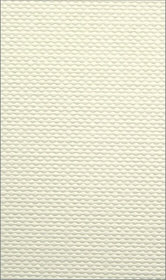 Papier wizytówkowy A4/20 Kreska skórka ecru