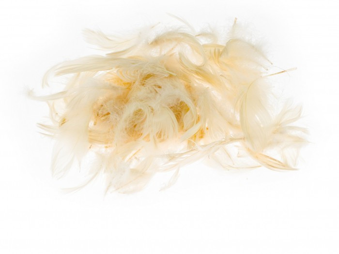 Piórka 7g (5-12cm) P7-2  Kremowe Brewis