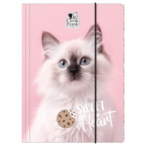 Teczka z gumką A4 Cleo i Frank 45 KOT TGA4CF45 Derform