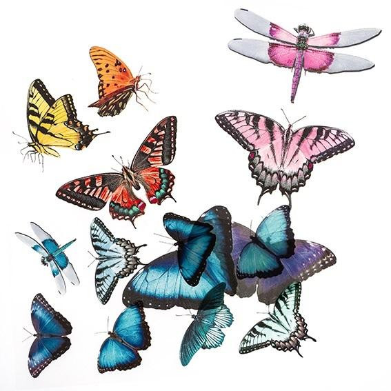 Naklejki PCV - Motyle (3szt) DPNK-212 Dalprint