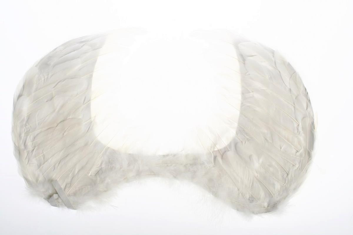 Skrzydła Anioła 60x45cm SK7976 Arpex