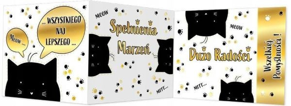 Karnet B6 składany Koty Henry