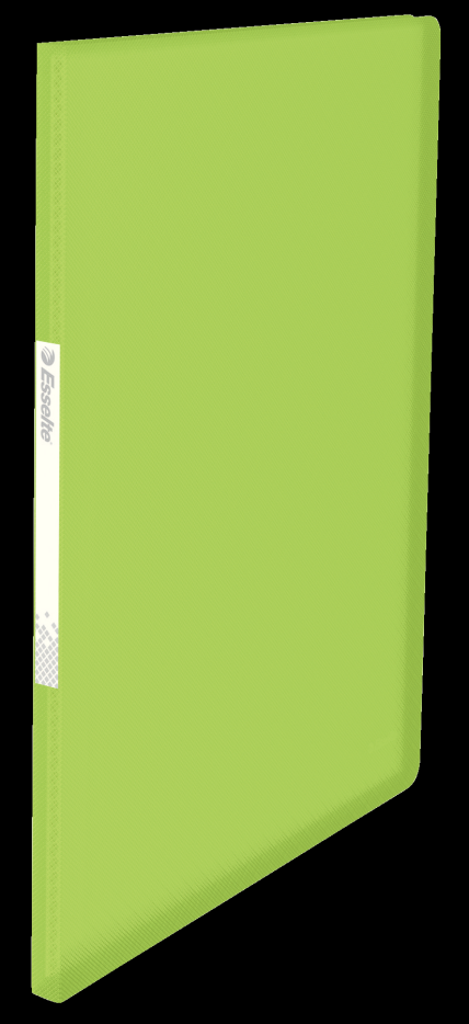 Teczka ofertowa Esselte Vivida A4/20k. zielona