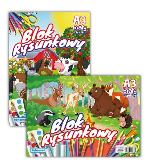 Blok rysunkowy A3 20 kartek biały 80 gsm Schemat
