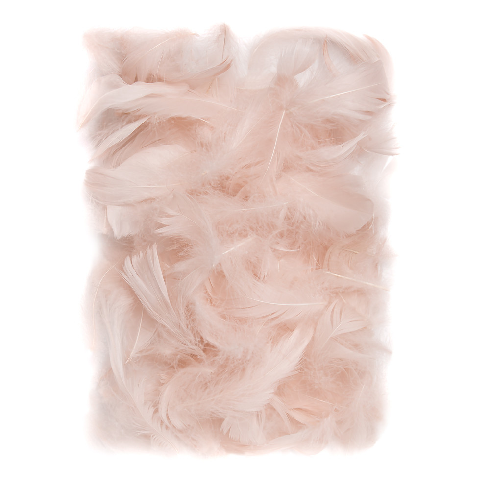 Piórka 10 g  (5 - 12 cm) Cielisty CEPI-022 Dalprint