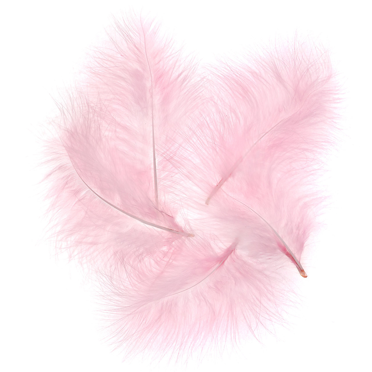 Pióra indycze 15cm 5szt CEPI-041 Dalprint różowe