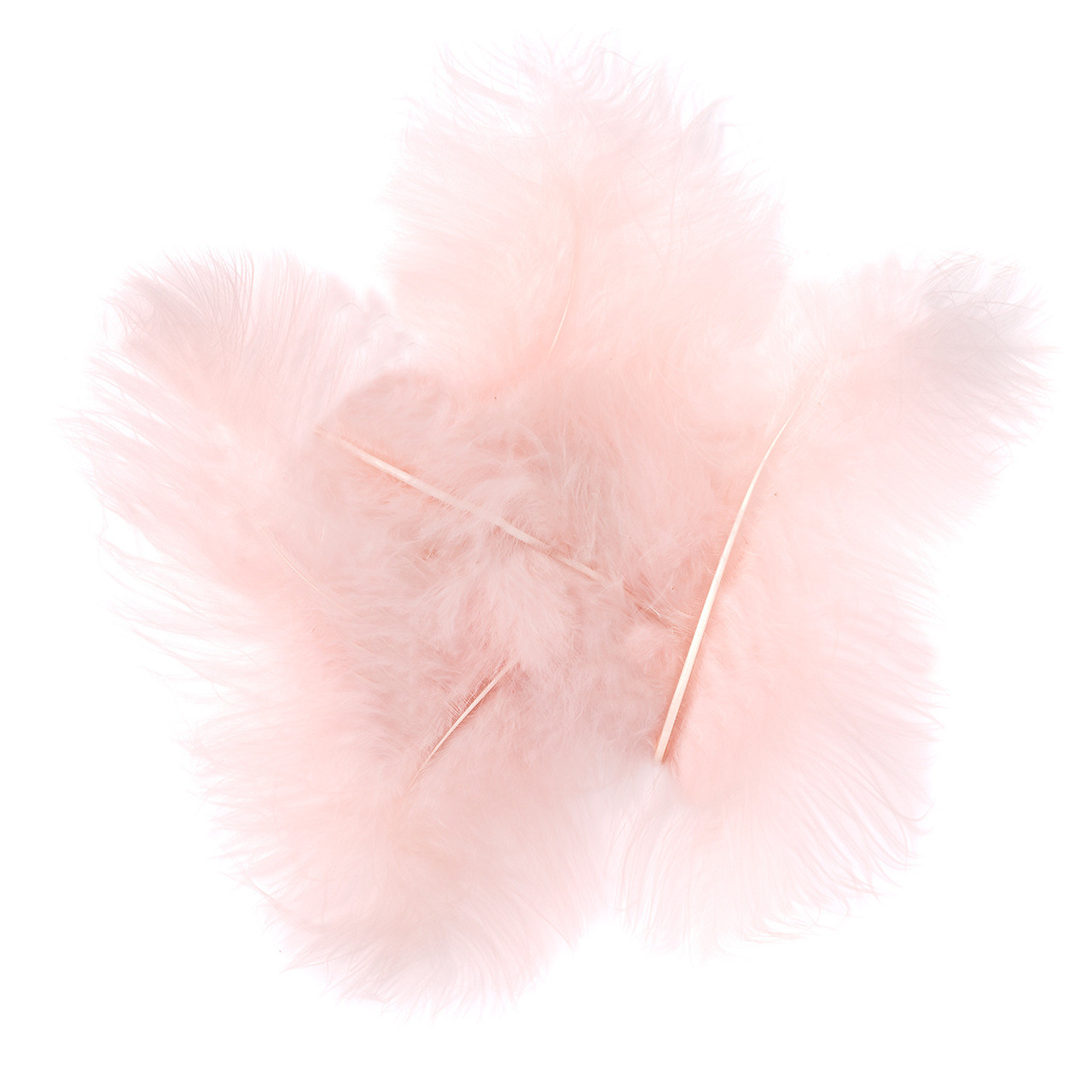 Pióra indycze 15cm 5szt nude CEPI-042 Dalprint