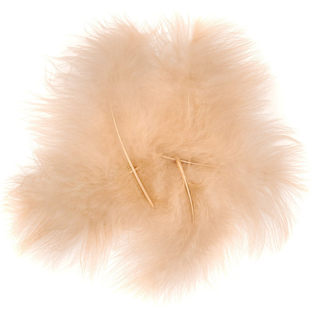 Pióra indycze 15cm 5szt CEPI-045 Dalprint beżowe