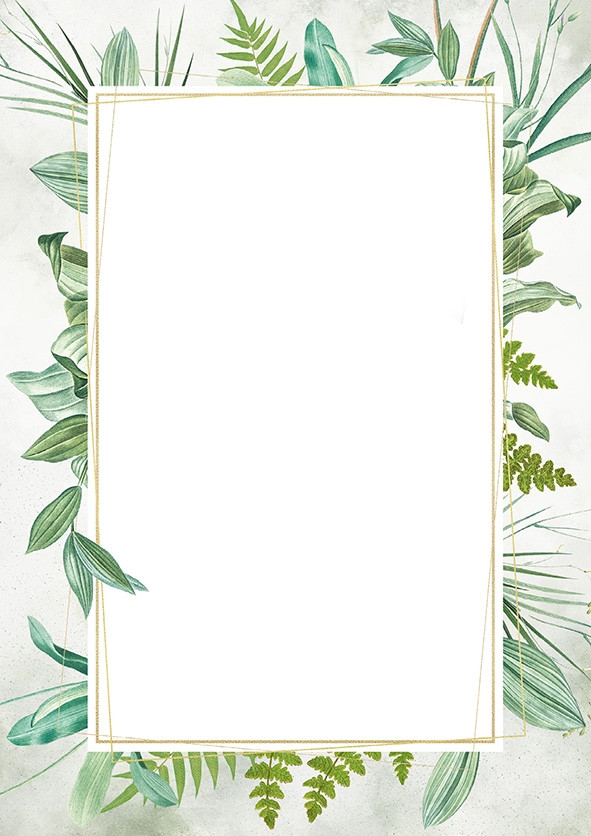 Dyplom A4/25 170g Botanic Argo