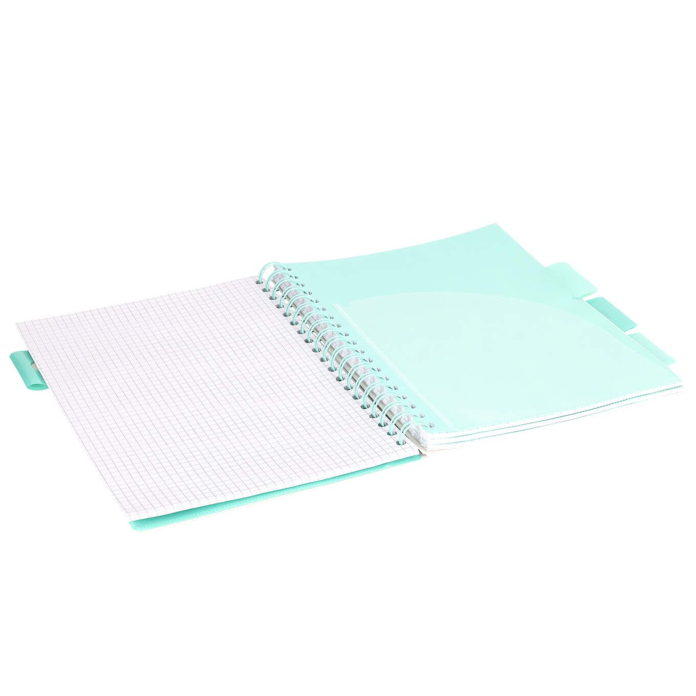 Kołozeszyt B5/100k. kr Project Book KOT czarny 80g Strigo PADS023 WPC