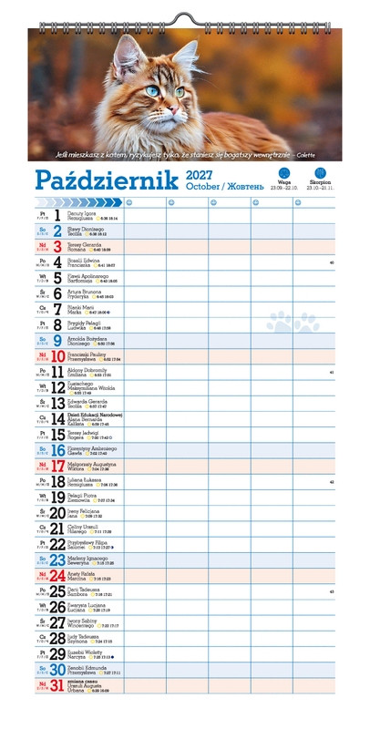 Kalendarz paskowy szeroki KPS V.6 Koty, kotki, koteczki Pan Kalendarzyk