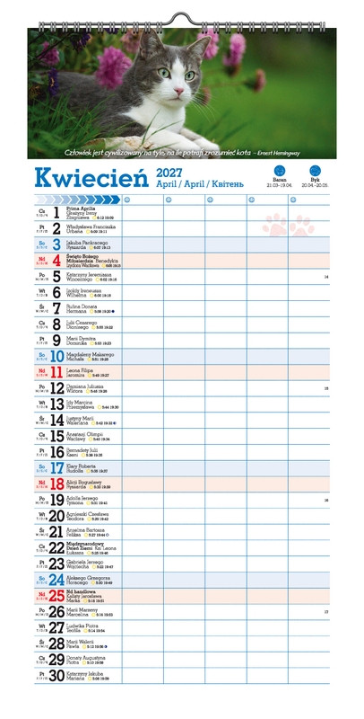 Kalendarz paskowy szeroki KPS V.6 Koty, kotki, koteczki Pan Kalendarzyk