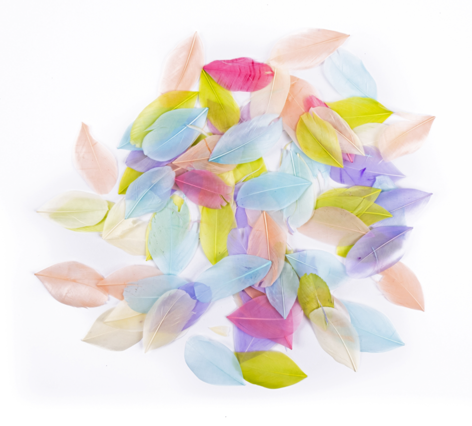 Pióra gęsie 6cm 5g pastel CEPI-113 Daplrint