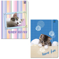 Teczka z gumką A4 Best Friend Koty Ev-Corp