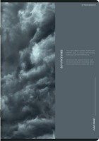 Zeszyt A4/80k kratka Birds Eye 70g TOP2000