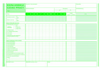 Roczna ewidencja czasu pracy MiP 527-1 A4