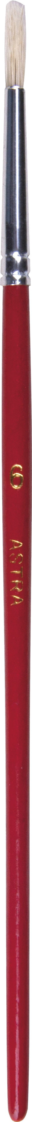 Pędzel szkolny okrągły Astra nr 6 53633904