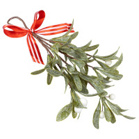 Gałązka jemioły VB6354 Arpex