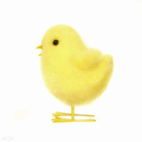 Kurczaczek Deco 7,5cm DPWL-050 Dalprint