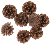 Szyszki 8szt DPZA-170 Dalprint