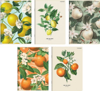 Zeszyt A5/60k kratka Summer 70g 400181620 TOP2000