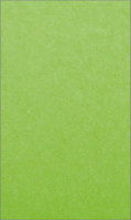 Papier wizytówkowy A4/20 Kreska gładki zielony