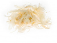 Piórka 7g (5-12cm) P7-2  Kremowe Brewis