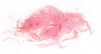 Piórka 7g (5-12cm) P7-15 Różowe jasne Brewis