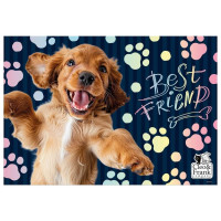 Podkład oklejany Cleo i Frank 44 PIES POCF44 Derform