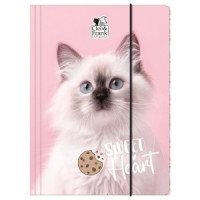 Teczka z gumką A4 Cleo i Frank 45 KOT TGA4CF45 Derform