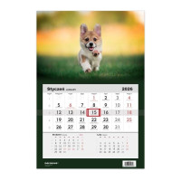 Kalendarz jednodzielny Pies Corgi Sztuka Rodzinna