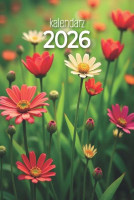 Kalendarz Zdzierak Avanti