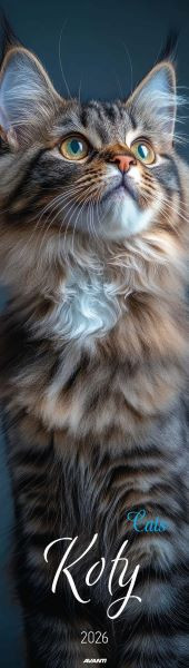 Kalendarz paskowy KP-2 KOTY Avanti