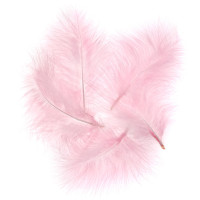 Pióra indycze 15cm 5szt CEPI-041 Dalprint różowe