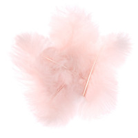 Pióra indycze 15cm 5szt nude CEPI-042 Dalprint