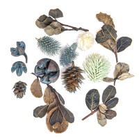 Suszone owoce i liście dekoracyjne 14szt  DPZA-082 Dalprint