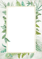 Dyplom A4/25 170g Botanic Argo